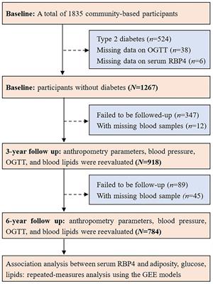 Sexual Dimorphism in the Association of Serum Retinol-Binding Protein-4 With Long-Term Dynamic Metabolic Profiles in Non-Diabetes